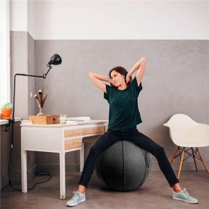 Gym Ball With Fabric Cover